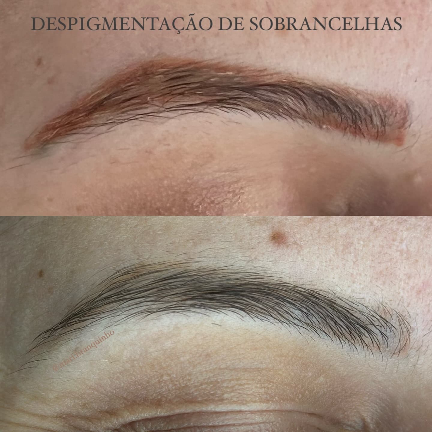 Resultado Hell Tattoo